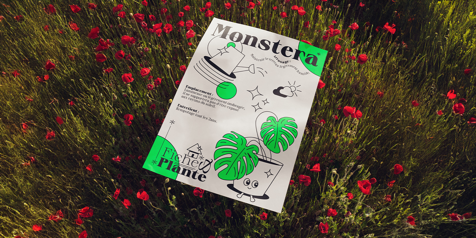 fiches & plantes