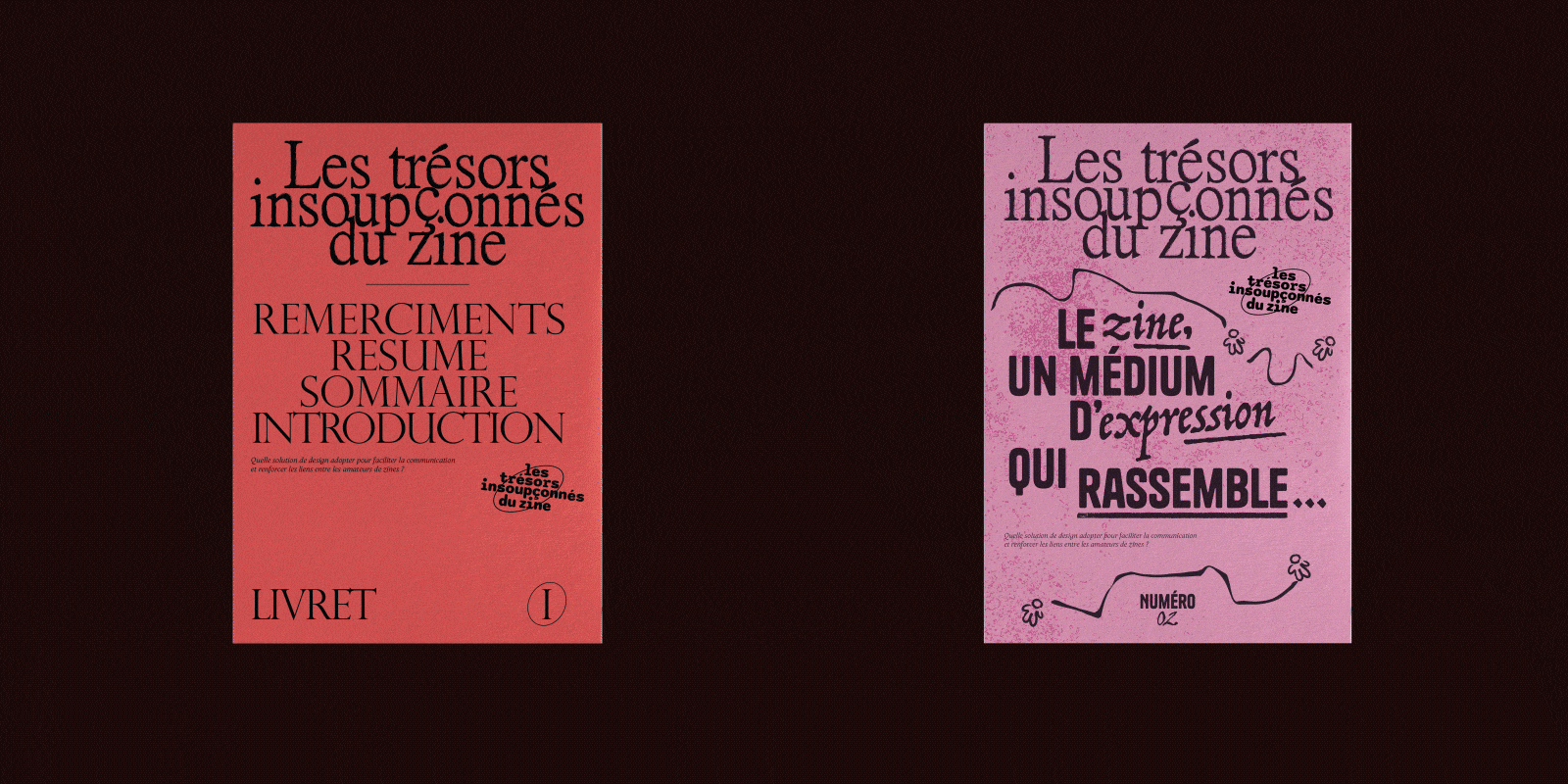 les trésors insoupconnes du zine