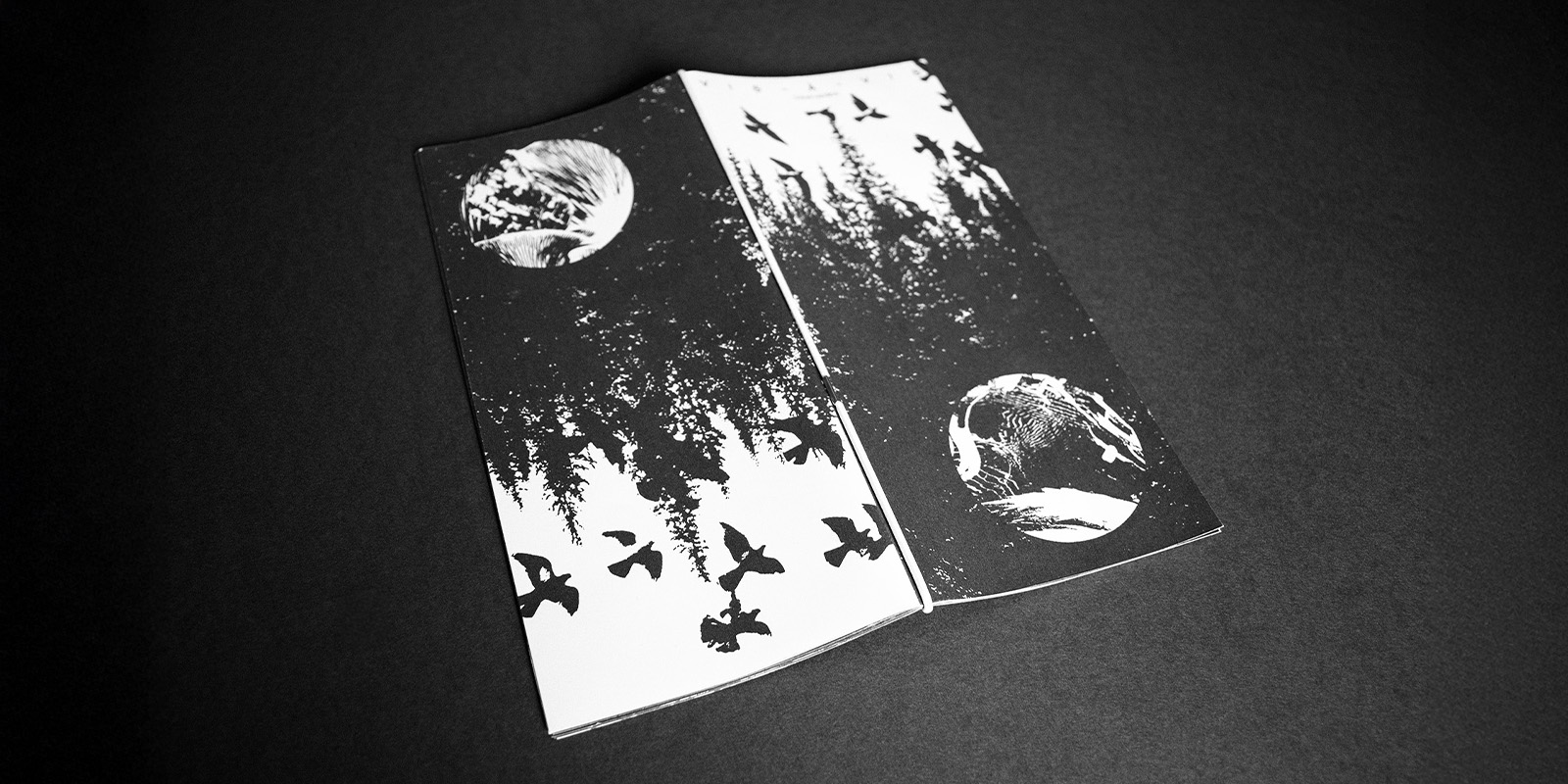 vis à vis mise en page