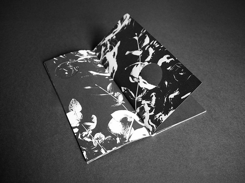 vis à vis mise en page