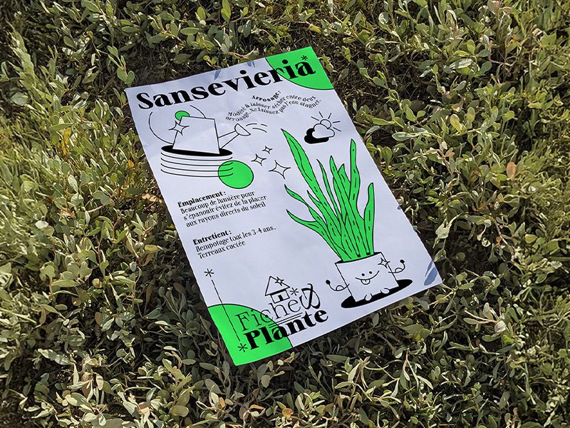 fiches & plantes