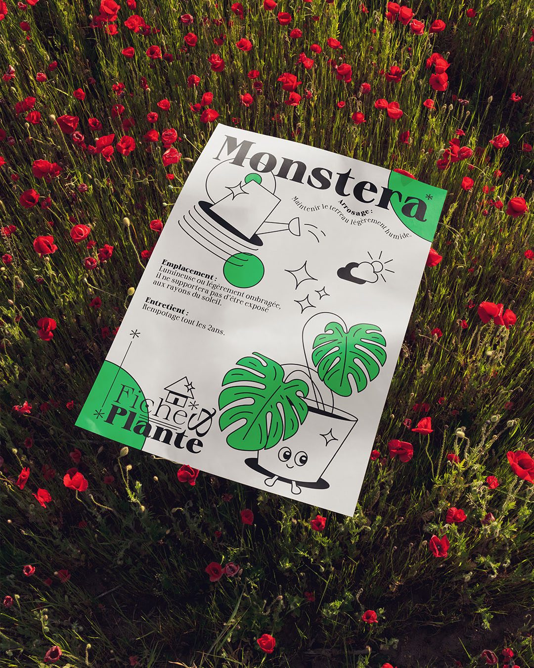 fiches & plantes illustrations