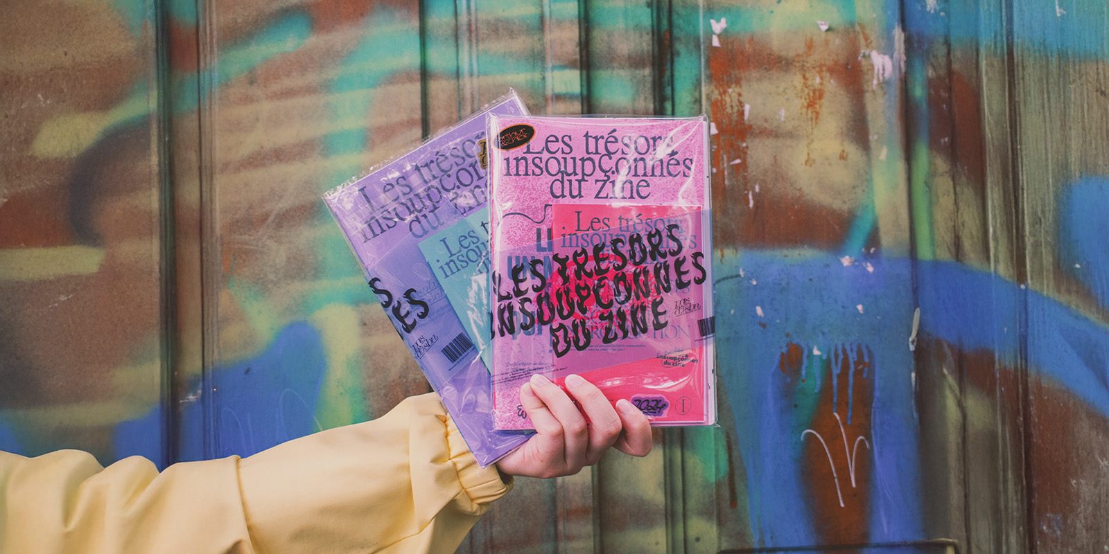 les trésors insoupconnes du zine