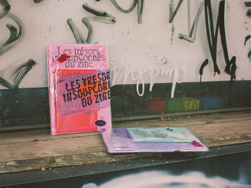 les trésors insoupconnes du zine