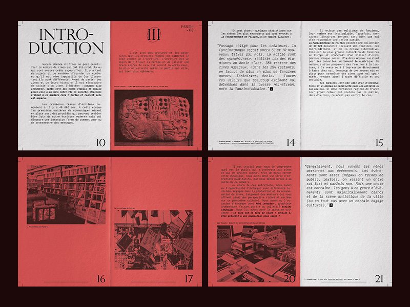 les trésors insoupconnes du zine