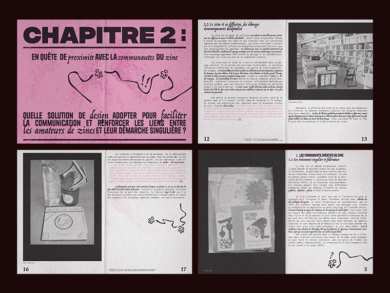 les trésors insoupconnes du zine