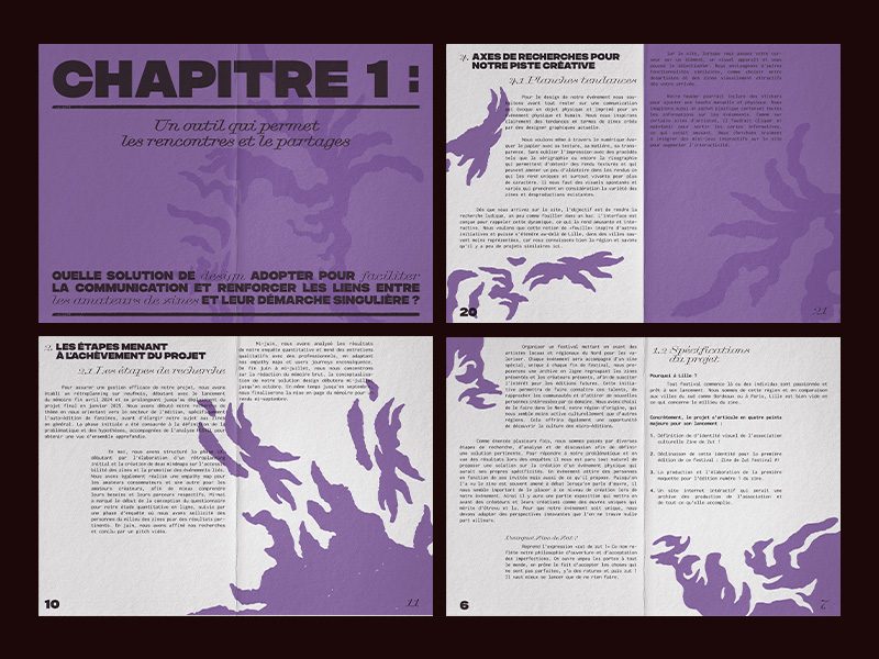 les trésors insoupconnes du zine