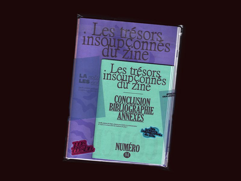les trésors insoupconnes du zine