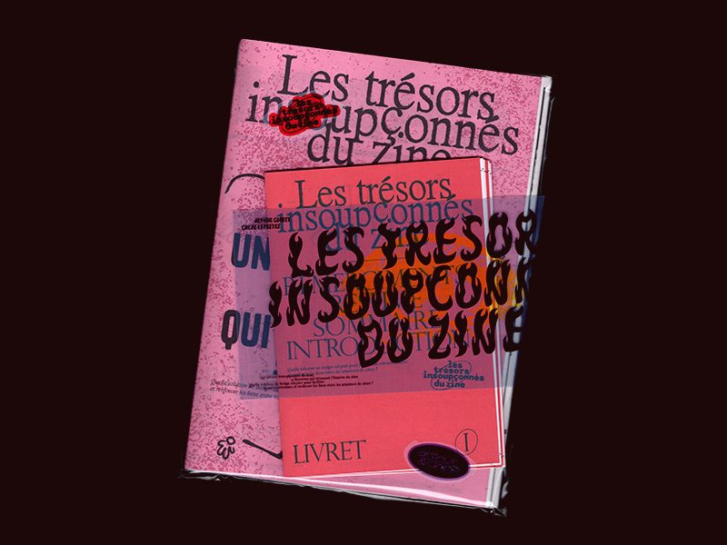 les trésors insoupconnes du zine