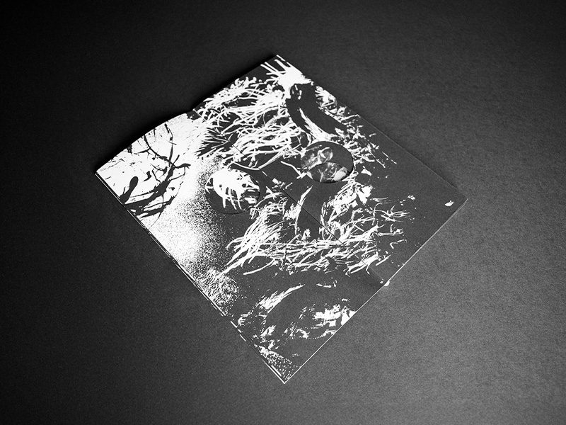 vis à vis mise en page